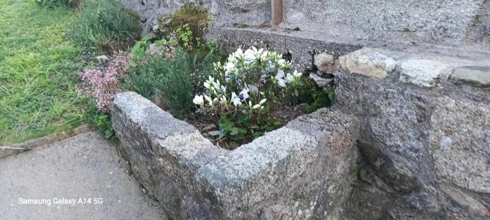 Casa Da Fonte Villa Pontevedra Værelse billede